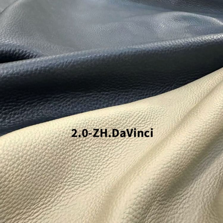 2.0-ZH.DaVinci