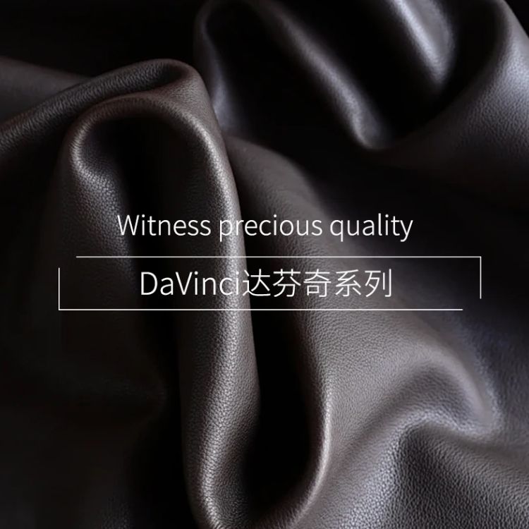 2.0-ZH.DaVinci